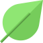 Leaf icon 64x64