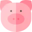 Pig icône 64x64