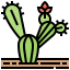 Cactus icon 64x64