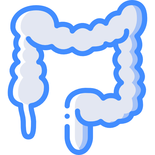 Colon 图标