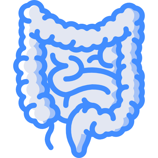 Intestines icon