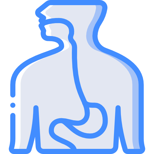 Esophagus icon