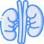 Kidney icon 64x64