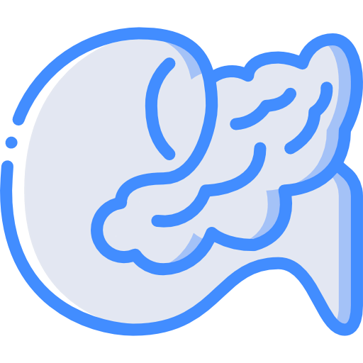 Pancreas 图标