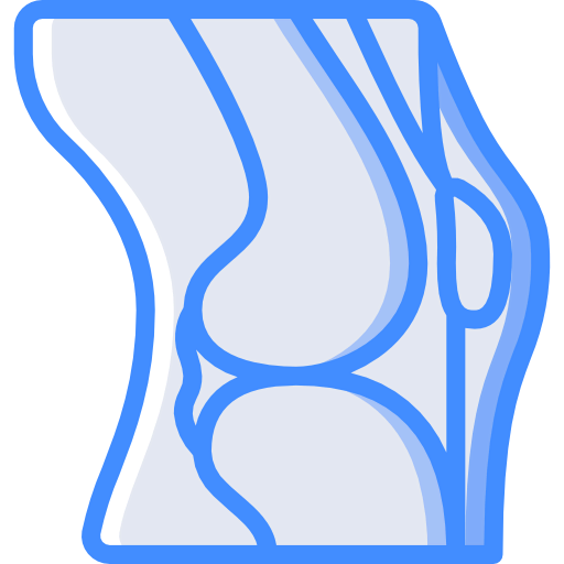 Knee icon