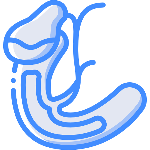 Gallbladder icon