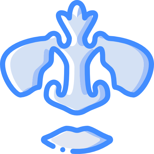 Nose icon