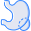 Stomach ícone 64x64