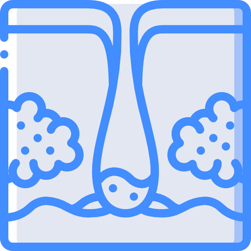 Dermis icon
