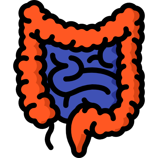 Intestines 图标
