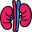 Kidney ícone 64x64