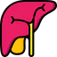 Liver ícone 64x64
