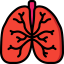 Lungs ícone 64x64