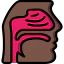 Nasal ícone 64x64