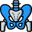 Pelvis ícone 64x64