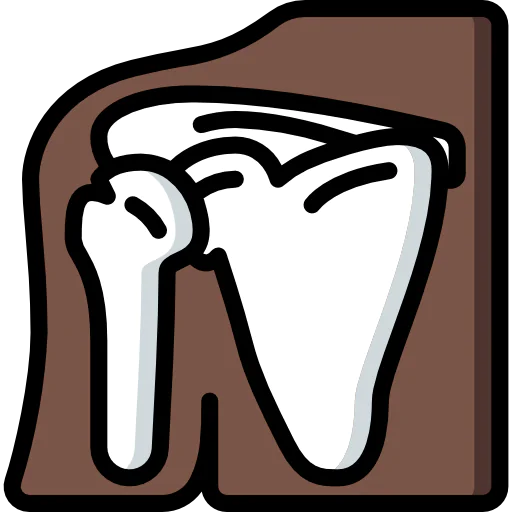 Shoulder icon