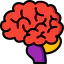 Brain ícone 64x64