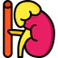 Adrenal gland ícone 64x64