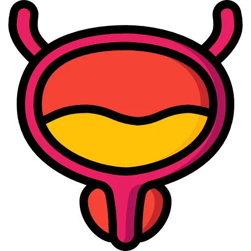 Bladder アイコン