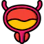 Bladder ícone 64x64