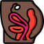 Pelvic area ícone 64x64
