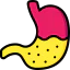 Stomach ícone 64x64