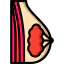 Breast ícone 64x64