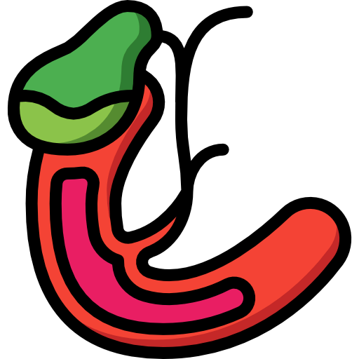 Gallbladder 图标