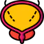 Bladder ícone 64x64