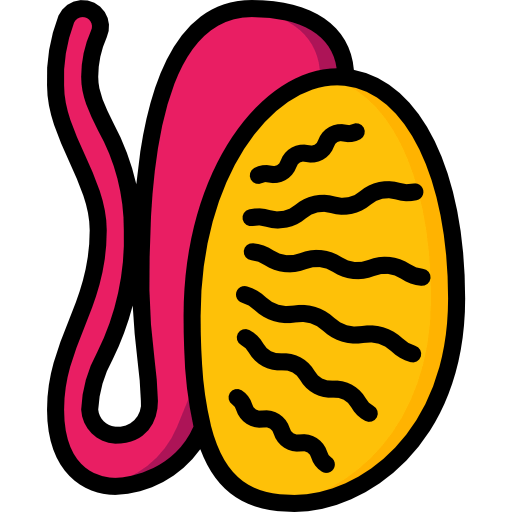 Testis icon