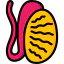 Testis ícone 64x64