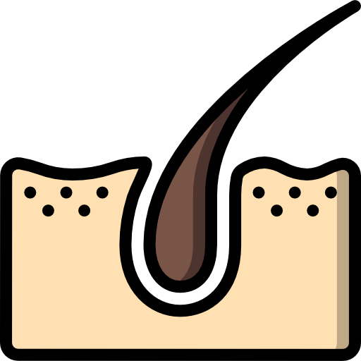 Dermis icon