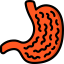 Stomach 图标 64x64