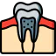 Tooth 图标 64x64