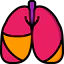 Lungs 图标 64x64