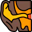 Ear 图标 64x64
