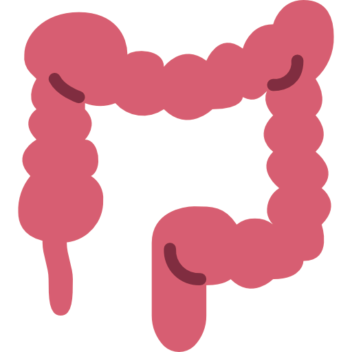 Colon Symbol