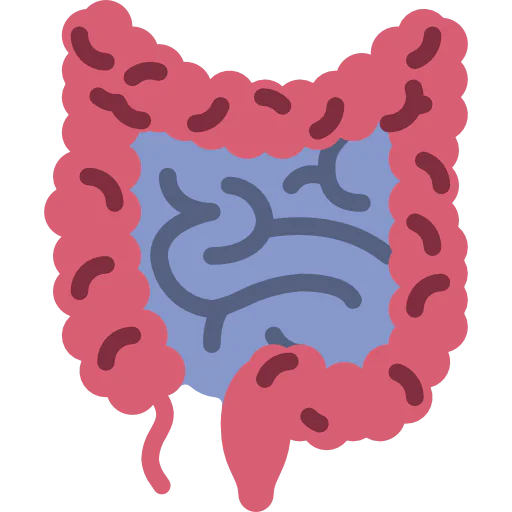 Intestines biểu tượng