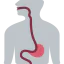 Esophagus 图标 64x64