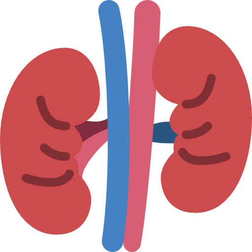 Kidney 图标