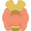 Thyroid gland 图标 64x64