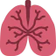 Lungs 图标 64x64