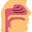 Nasal 图标 64x64
