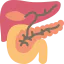 Pancreas 图标 64x64