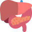 Liver 图标 64x64