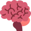 Brain 图标 64x64