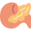 Pancreas 图标 64x64