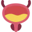 Bladder 图标 64x64