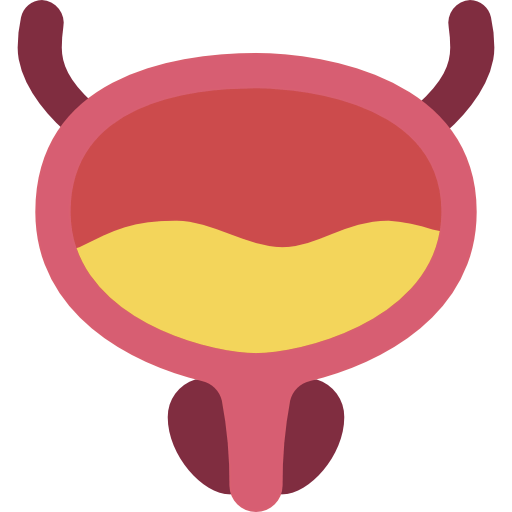Bladder 图标
