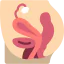 Pelvic area 图标 64x64